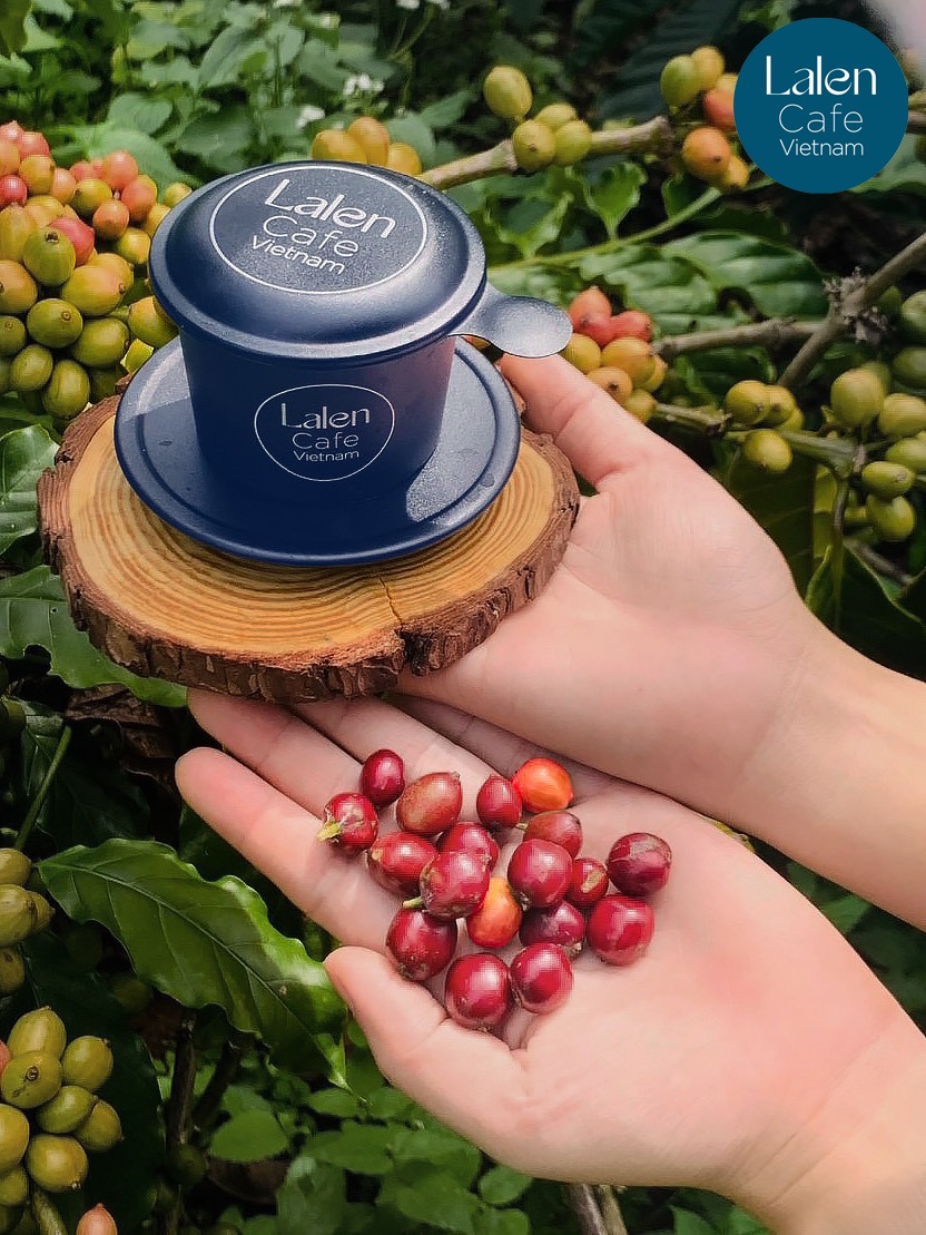 Lalen cà phê ngon